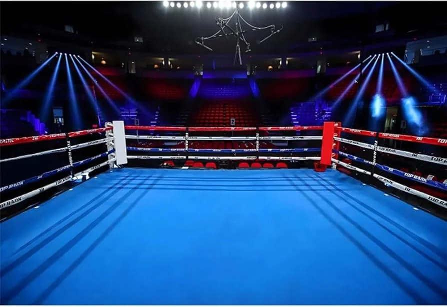 od体育官网拳击竞技场灯光效果